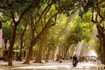 Bắc Bộ ngày nắng, trời se lạnh, Quảng Trị đến Đà Nẵng mưa lớn do ảnh hưởng của hoàn lưu bão