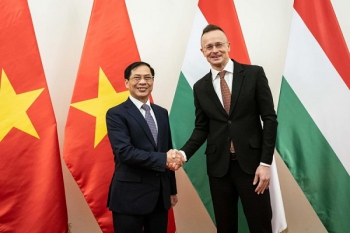 Thúc đẩy hơn nữa hợp tác Việt Nam với Rumani, Hungary