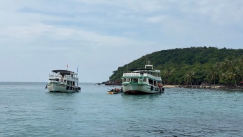 Bảo vệ hệ sinh thái ven biển vùng Đồng bằng sông Cửu Long