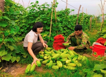 Khởi sắc nông thôn mới vùng cao Đăk Trăm