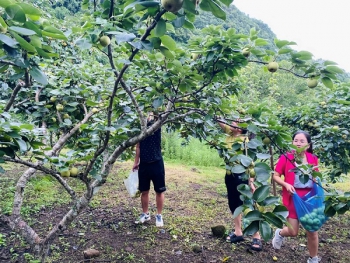 Lai Châu: Tăng trưởng kinh tế 6 tháng đầu năm ước đạt 5,54%