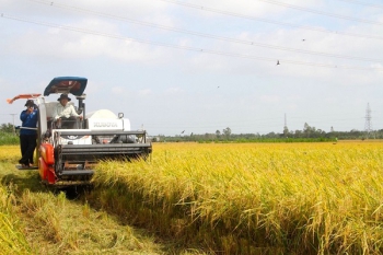 Đẩy mạnh thực hiện các Đề án Phát triển nông nghiệp nông thôn gắn với tái cơ cấu ngành nông nghiệp