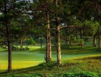 Những quan điểm mới về vụ việc sân Golf Đồi Cù