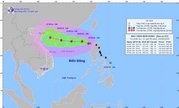 Khẩn trương ứng phó bão số 3