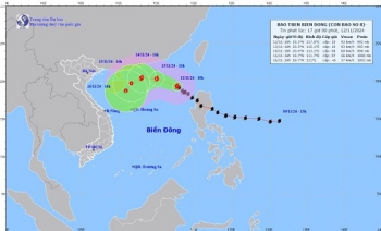 Bão số 8 giật cấp 12 trên khu vực Bắc Biển Đông