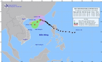 Bão số 8 suy yếu trên Biển Đông, miền Bắc oi nóng kéo dài