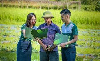 Triển khai chương trình tín dụng trên 100 nghìn tỷ đồng với lĩnh vực nông, lâm, thủy sản