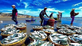 Đa dạng hóa đối tượng nuôi thủy sản để tạo sự đột phá