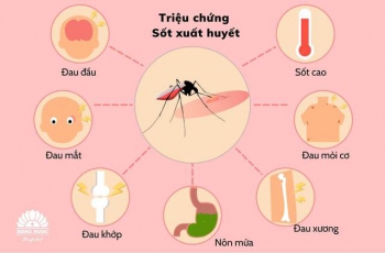 Sốt xuất huyết trên thế giới gia tăng