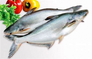 Triển vọng cho xuất khẩu cá tra