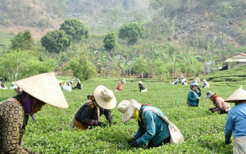 Chương trình MTQG tạo đột phá phát triển vùng đồng bào dân tộc thiểu số tỉnh Sơn La