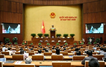 Đề nghị đưa khung hình phạt cao nhất là tử hình đối với tội danh sản xuất và kinh doanh thuốc giả, sữa giả