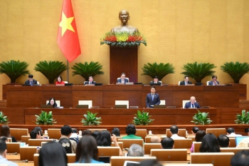 Sẽ miễn thuế thu nhập doanh nghiệp trong 3 năm, bãi bỏ thuế môn bài