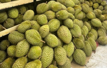 Lấy lại giá trị nông sản: Bài học từ 'câu chuyện' sầu riêng