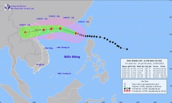 Siêu bão Ragasa khả năng đi vào Quảng Ninh - Hưng Yên, biển Đông sắp đón cơn bão số 10