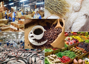 Hoàn thiện Hồ sơ Đề án đánh giá tình hình thực hiện Nghị quyết số 19-NQ/TW về nông nghiệp, nông dân, nông thôn