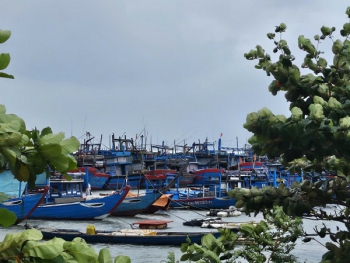 Các địa phương miền Trung chủ động ứng phó bão số 15