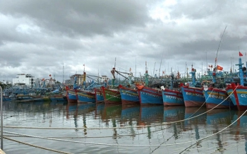 Gia Lai, Khánh Hòa: Khẩn trương triển khai các biện pháp cấp bách ứng phó bão số 15