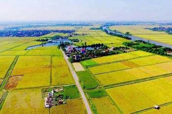 Tính tiền sử dụng đất khi chuyển mục đích sử dụng đất từ đất nông nghiệp sang đất ở