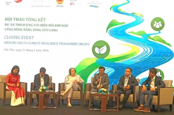 Hành trình thích ứng biến đổi khí hậu ở ĐBSCL: Từ tầm nhìn đến hành động bền vững
