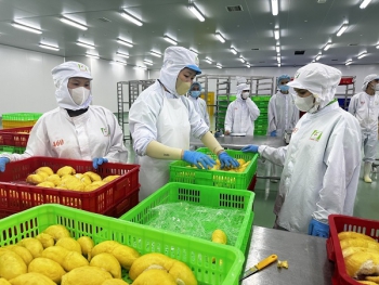 Khoa học, công nghệ là 'chìa khóa' chuyển đổi mô hình tăng trưởng nông nghiệp