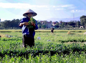Bắc Bộ nắng nóng trước khi đón mưa dông, Nam Bộ mưa to cục bộ