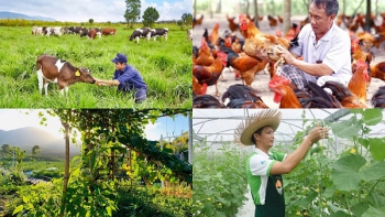 Chính sách mới có hiệu lực từ tháng 8/2026