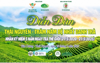 Diễn đàn: THÁI NGUYÊN - TRĂM NĂM ĐỆ NHẤT DANH TRÀ