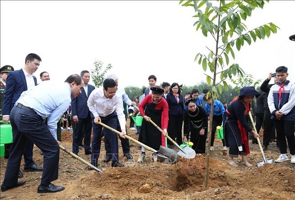 Chủ tịch nước phát động Tết trồng cây “Đời đời nhớ ơn Bác Hồ” Xuân Giáp Thìn 2024
