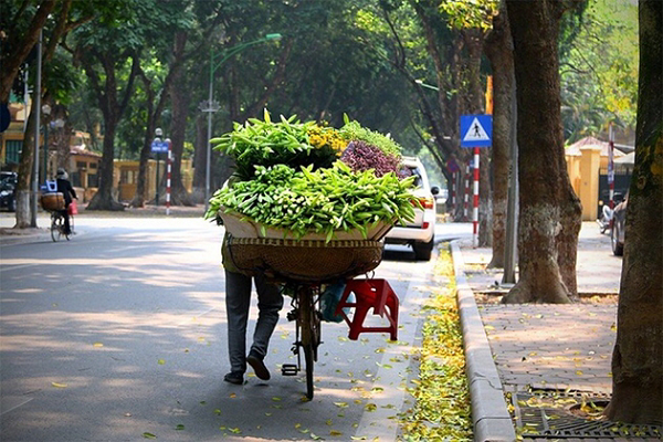 Bắc Bộ ban ngày nắng hanh, đêm và sáng sớm trời rét, Nam Bộ nắng nóng